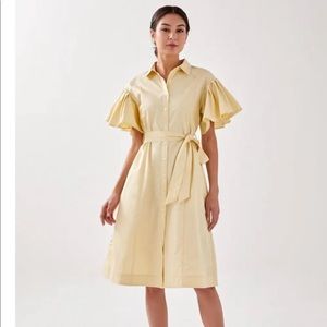 Weston Frill Midi Dress Love Bonito (Yellow)